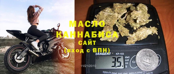 спиды Богородицк