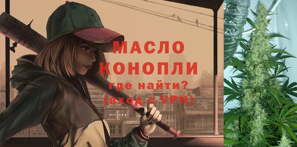 спиды Богородицк